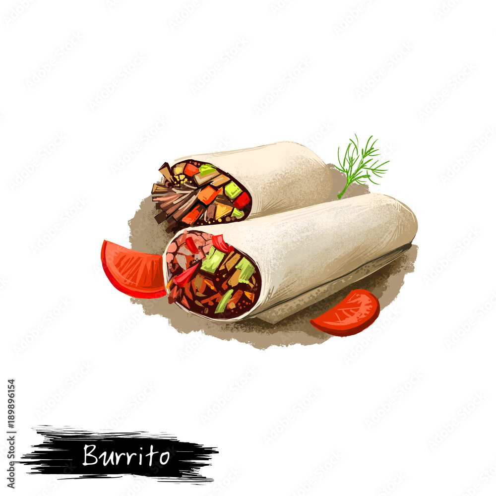 burrito drawing realistic