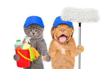 Poster - Cleaning concept. Cat and dog in blue hats holds bucket with washing fluids and mop in paw. isolated on white background