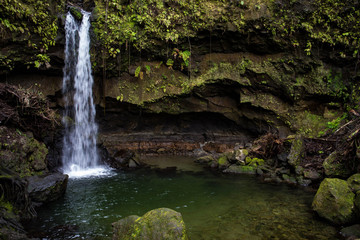 Wall Mural - Emerald Pool, Morne Trois Pitons National Park, Dominica