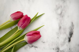 Fototapeta Tulipany - Three pretty pink tulips on a marble background 