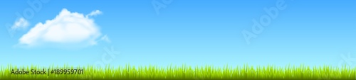 Field, green grass with white cloud - stock vector