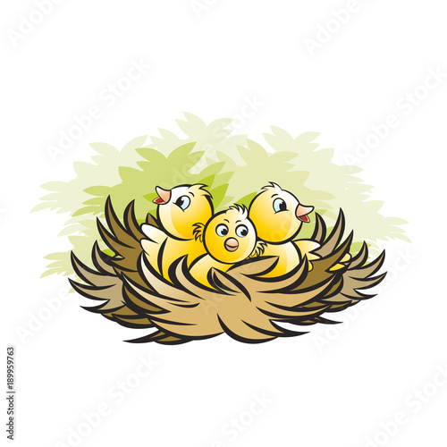 Nest With Three Baby Birds Vector Cartoon Buy This Stock Vector And Explore Similar Vectors At Adobe Stock Adobe Stock