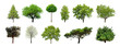 Leinwandbild Motiv Set of green trees isolated on white background. Different kinds of tree collection