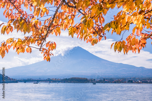 Obraz Dibond Jesień w Japonii Krajobrazy wzdłuż jeziora Fuji i jeziora Kawaguchi