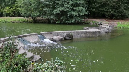 Sticker - Creek in the city park 
