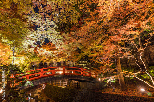 Fototapeta na szkło Jesień w Japonii Kioto Kitano Tenmangu Sanktuarium Jesienne liście oświetlone