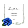 Realistic blue rose, card.