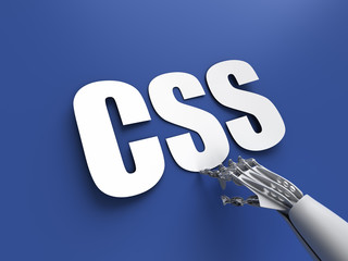 Canvas Print - CSS acronym (Cascading Style Sheets)