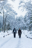 Fototapeta Miasto - people are walking in the snow-covered forest