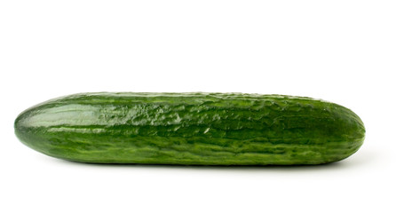 One ripe cucumber on white background, closeup.