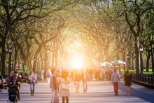 Crowd Of Anonymous People Walking Through Central Park Forest Landscape With Bright Sunlight Shining Through The Trees In The Background