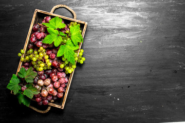 Wall Mural - Fresh harvest of red and green grapes on tray.