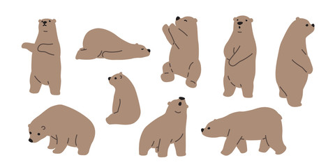 bear vector polar bear icon logo teddy cartoon character illustration