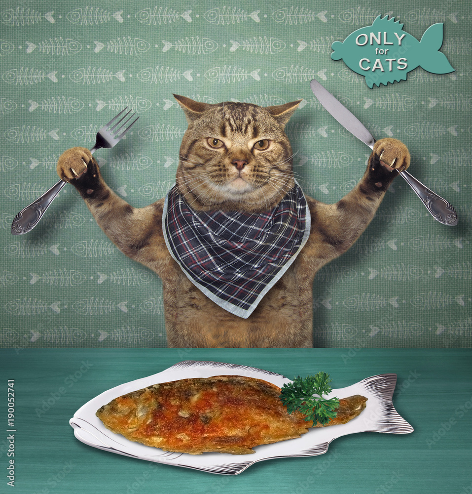The hungry cat with a knife and a fork eats a dish of fried fish . Stock  Photo | Adobe Stock, image size:957x1000