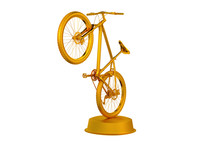 Mountain Bike Golden Trophy