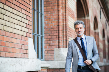 Wall Mural - Mature businessman walking in a city.