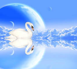 Canvas Print - Mute swan on blue background with planets