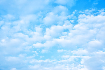 Wall Mural - soft white clouds in the sky