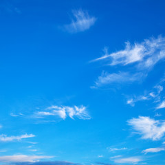 Wall Mural - blue sky with light clouds