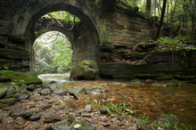 Ruins Of An Ancient Bridge In The Forest