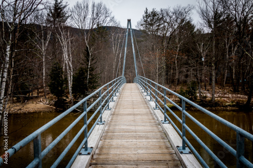 Plakat Wspaniały most w górach Adirondack.