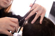 © Africa Studio - Professional stylist cutting client's hair in salon, closeup