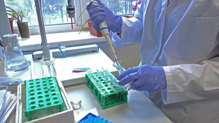 Canvas Print - Young scientist working in a laboratory