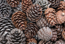 Natural Holiday Background With Pinecones Grouped Together