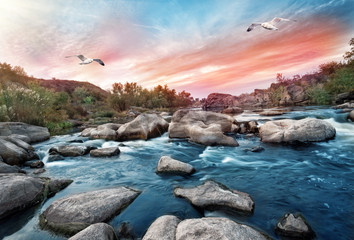 Wall Mural - waterfall on mountain river with seagulls