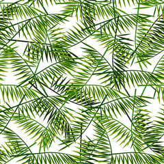  Vector seamless pattern with palm leaves. Summer illustration. Exotic tropical foliage.