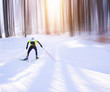 Nordic ski athlete in sunny forest. Sport photo with edit space