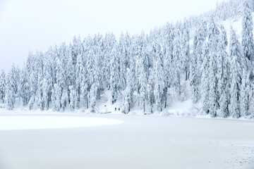 Wall Mural - Mummelsee im Winter