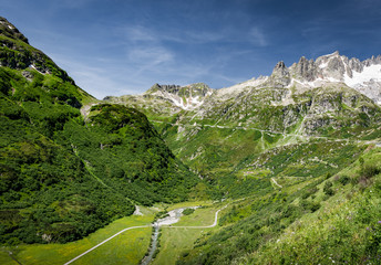 Wall Mural - Swiss Alps in the summer