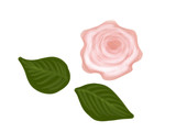 Fototapeta Desenie - Colorful pink drawn bright spring rose flower for greeting card or advertisement on the white background, isolated cartoon illustration of flower and leaves painted by pen and oil color, high quality