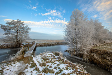 Poster - Wooden Footbridge over Frozen canal in Drenthe