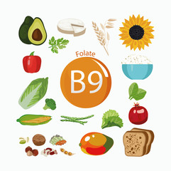 Sticker - Vitamin B9 (folate).