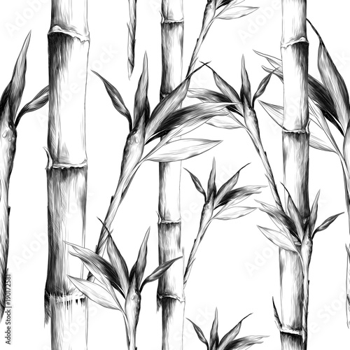 Leaves Branches Stem Bamboo Pattern Flowers Texture Frame