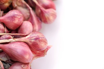 Shallots on white background