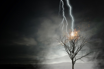 Bright lightning hit the tree