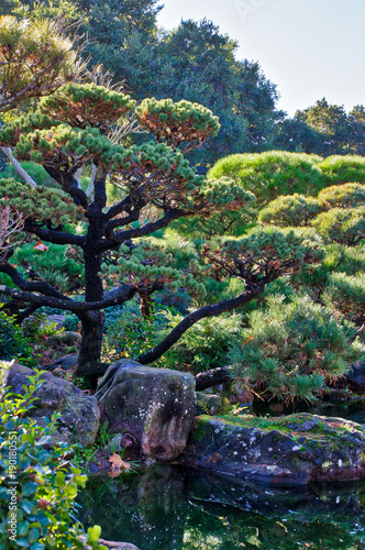 Japanese Garden Hayward Buy This Stock Photo And Explore Similar