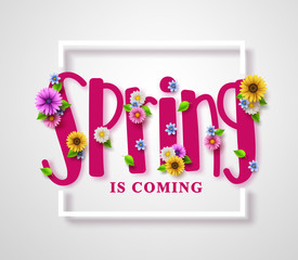 Wall Mural - Spring is coming vector banner with text, colorful various flowers, boarder frame and elements in white background for spring seasonal greeting design. Vector illustration.
