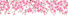 Seamless Horizontal Pattern With Pink Cherry Flowers. Branches Of A Blossoming Sakura On A White Isolated Background.