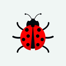 Cute Ladybug Drawing Illustration Graphic