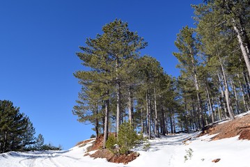 snowy winter road. beautiful winter landscape in the mountain forest agla. marmaris. turkey