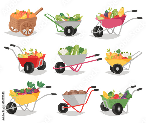 Cuadros en Lienzo Vegetables in wheelbarrow vector healthy nutrition of vegetably tomato pepper an
