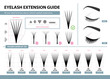 Eyelash extension guide. Volume eyelash extensions. 2D - 10D Volume. Tips and tricks. Infographic vector illustration. Template for Makeup and cosmetic procedures. Training poster