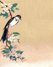 Watercolor Background. Rrobin On A Branch Of Apple Blossoms