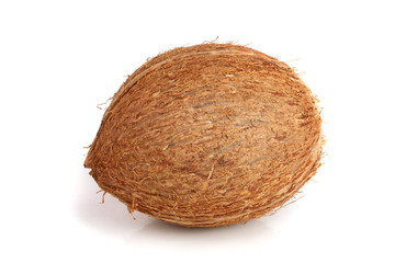 whole coconut isolated on white background