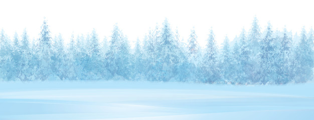 Wall Mural - vector winter snowy forest background, isolated border.