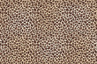 Leopard spotted fur texture